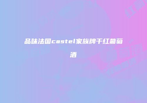 品味法国castel家族牌干红葡萄酒