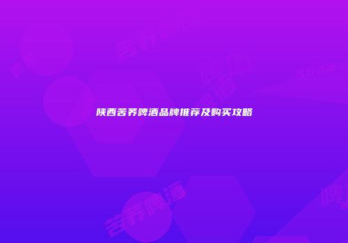 陕西苦荞啤酒品牌推荐及购买攻略