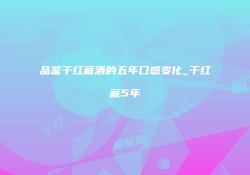 品鉴干红藏酒的五年口感变化_干红藏5年