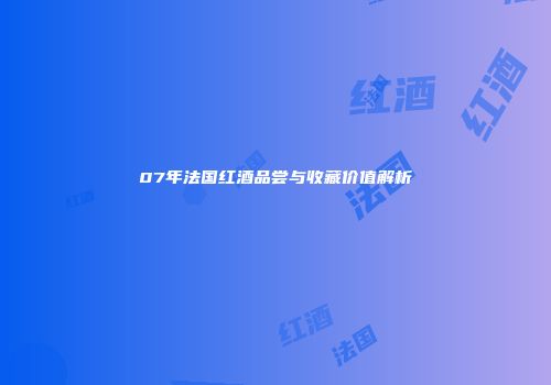 07年法国红酒品尝与收藏价值解析