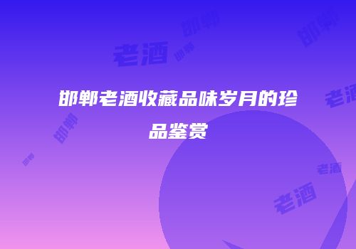 邯郸老酒收藏品味岁月的珍品鉴赏