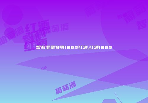 智利圣佩特罗1865红酒,红酒1865
