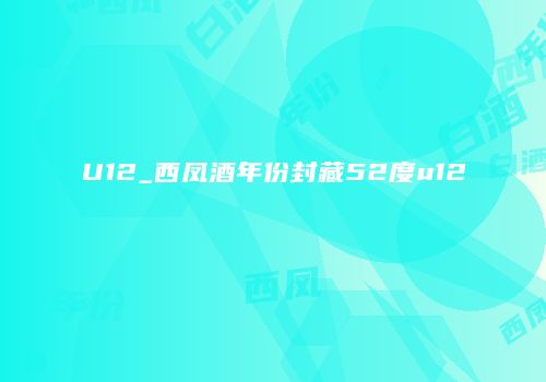 U12_西凤酒年份封藏52度u12