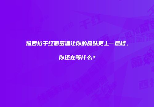 猫西拉干红葡萄酒让你的品味更上一层楼，你还在等什么？