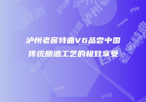泸州老窖特曲V6品尝中国传统酿酒工艺的极致享受
