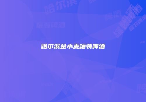 哈尔滨金小麦罐装啤酒