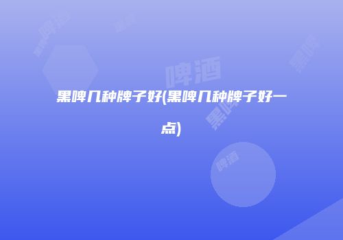 黑啤几种牌子好(黑啤几种牌子好一点)