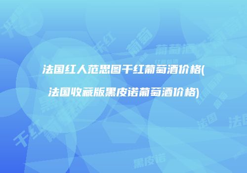 法国红人范思图干红葡萄酒价格(法国收藏版黑皮诺葡萄酒价格)