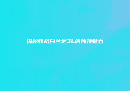 探秘张裕白兰地3L的独特魅力