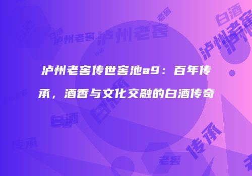 泸州老窖传世窖池a9：百年传承，酒香与文化交融的白酒传奇