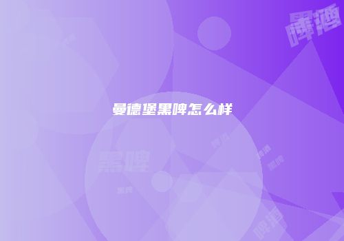 曼德堡黑啤怎么样
