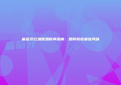 葡萄牙红酒醒酒时间指南：如何释放最佳风味
