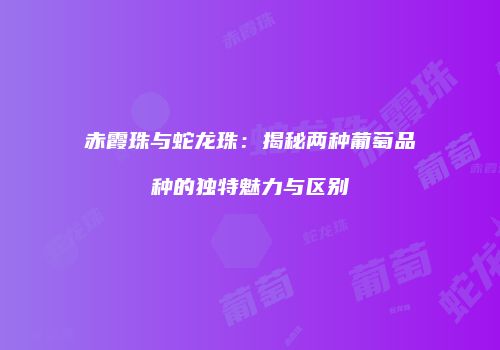 赤霞珠与蛇龙珠：揭秘两种葡萄品种的独特魅力与区别
