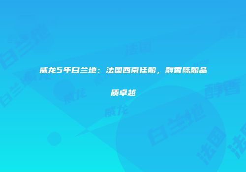威龙5年白兰地：法国西南佳酿，醇香陈酿品质卓越