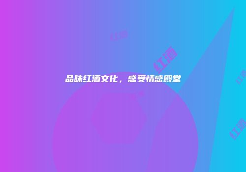 品味红酒文化，感受情感殿堂