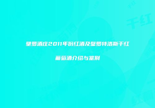 壁萝酒庄2011年份红酒及璧萝特洛斯干红葡萄酒介绍与鉴别