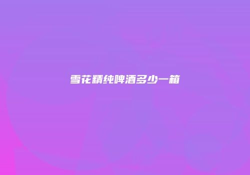 雪花精纯啤酒多少一箱