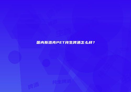 国内斯洛克PET纯生啤酒怎么样？