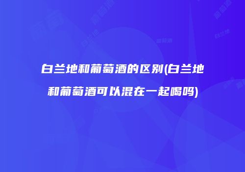 白兰地和葡萄酒的区别(白兰地和葡萄酒可以混在一起喝吗)