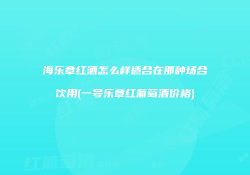 海乐章红酒怎么样适合在那种场合饮用(一号乐章红葡萄酒价格)