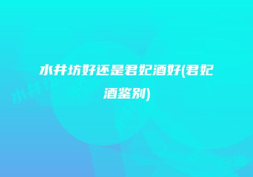 水井坊好还是君妃酒好(君妃酒鉴别)