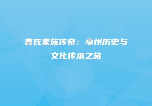 曹氏家族传奇：亳州历史与文化传承之旅