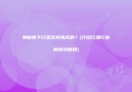 神秘客干红是怎样炼成的？(介绍红酒行业的成功密码)