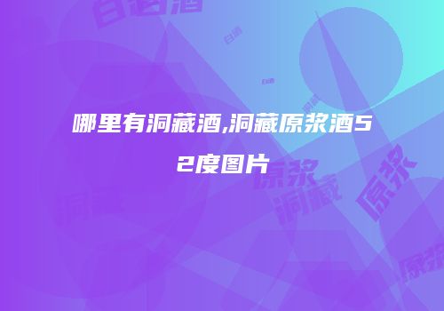 哪里有洞藏酒,洞藏原浆酒52度图片