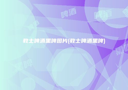 教士啤酒黑啤图片(教士啤酒黑啤)