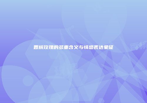 香槟玫瑰的多重含义与情感表达象征