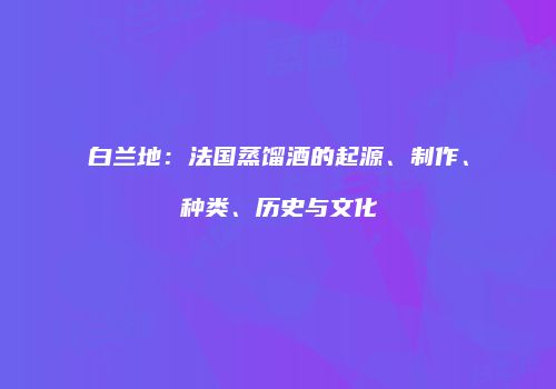 白兰地：法国蒸馏酒的起源、制作、种类、历史与文化