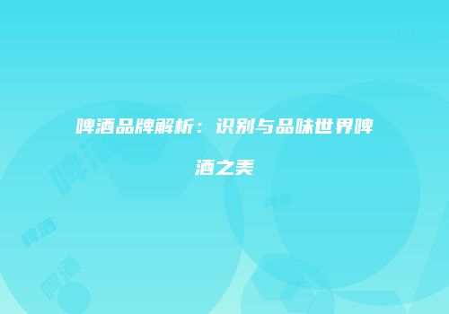 啤酒品牌解析：识别与品味世界啤酒之美