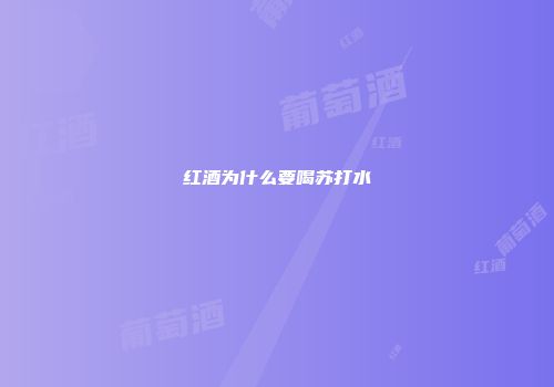 红酒为什么要喝苏打水