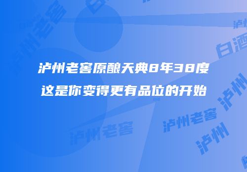 泸州老窖原酿天典8年38度这是你变得更有品位的开始