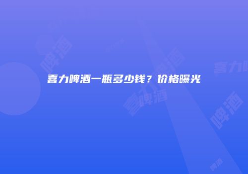 喜力啤酒一瓶多少钱？价格曝光
