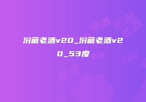 汾藏老洒v20_汾藏老酒v20_53度