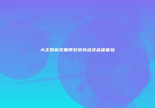 大主教原浆黑啤包装特点及品鉴体验
