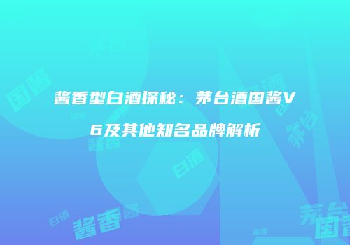 酱香型白酒探秘：茅台酒国酱V6及其他知名品牌解析