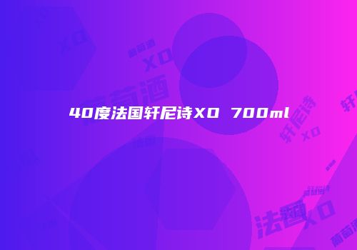 40度法国轩尼诗XO 700ml