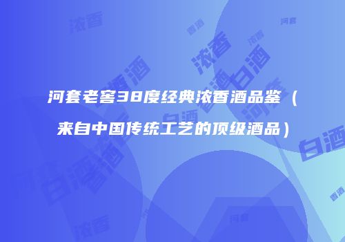河套老窖38度经典浓香酒品鉴（来自中国传统工艺的顶级酒品）