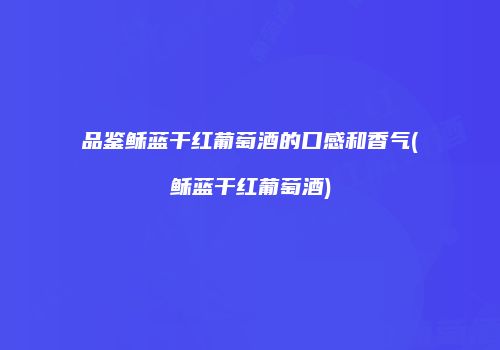 品鉴稣蓝干红葡萄酒的口感和香气(稣蓝干红葡萄酒)