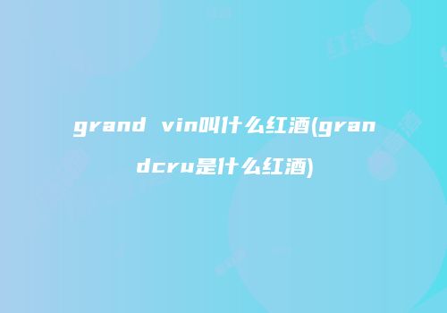 grand vin叫什么红酒(grandcru是什么红酒)