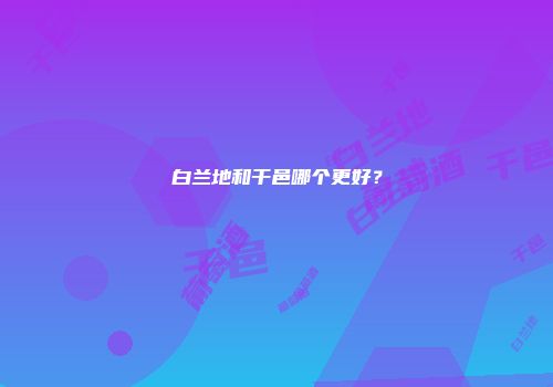 白兰地和干邑哪个更好？