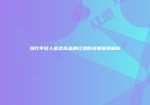 当代年轻人追求高品质红酒的多重因素解析