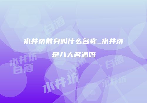 水井坊前身叫什么名称_水井坊是八大名酒吗