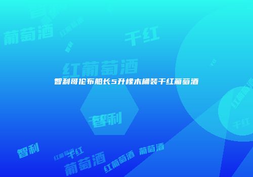 智利哥伦布船长5升橡木桶装干红葡萄酒