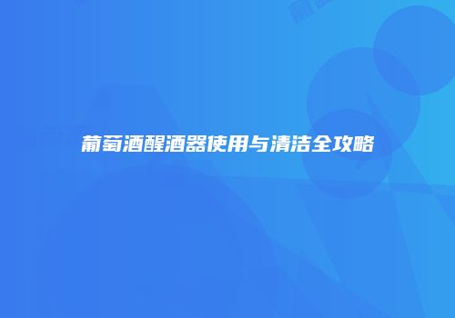 葡萄酒醒酒器使用与清洁全攻略