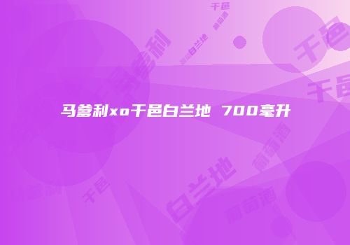 马爹利xo干邑白兰地 700毫升