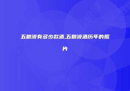 五粮液有多少款酒,五粮液酒历年的照片