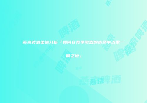 燕京啤酒渠道分析「如何在竞争激烈的市场中占据一席之地」